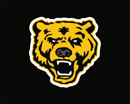 Upper Arlington Hockey Collection